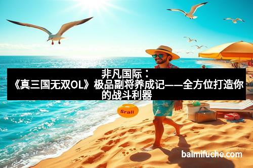 非凡国际：《真三国无双OL》极品副将养成记——全方位打造你的战斗利器